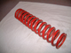 springs 12 inch.JPG